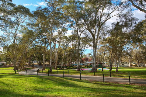 Discovery Parks - Clare - Accommodation Georgetown 19