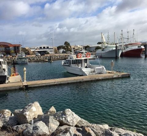 Port Lincoln Shark Apartment 1 - Accommodation Georgetown 14