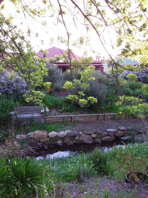 Frog Song At Willunga - Accommodation Georgetown 0