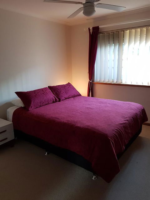 Frog Song At Willunga - Accommodation Georgetown 3