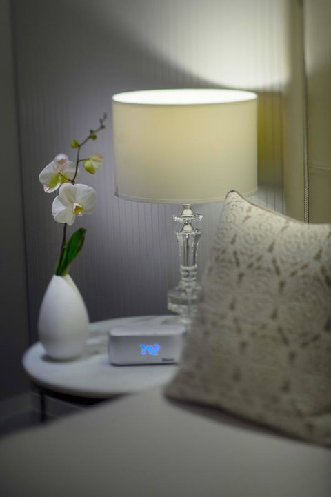Mayfair Hotel - Accommodation Georgetown 13