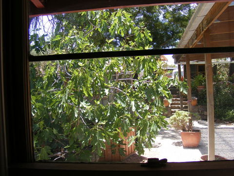 Trevalia Accommodation - Accommodation Georgetown 4