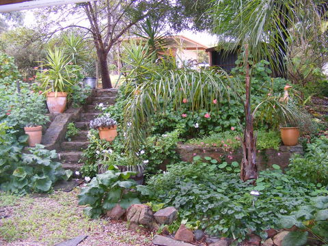 Trevalia Accommodation - Accommodation Georgetown 12