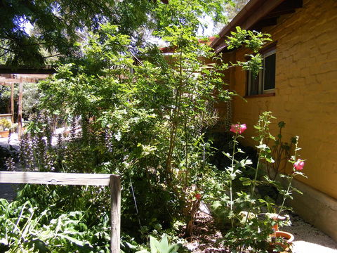 Trevalia Accommodation - Accommodation Georgetown 7