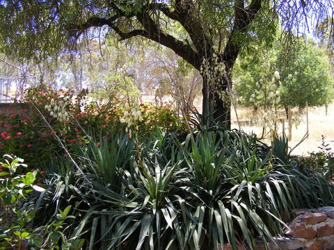 Trevalia Accommodation - Accommodation Georgetown 6