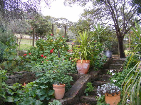 Trevalia Accommodation - Accommodation Georgetown 13