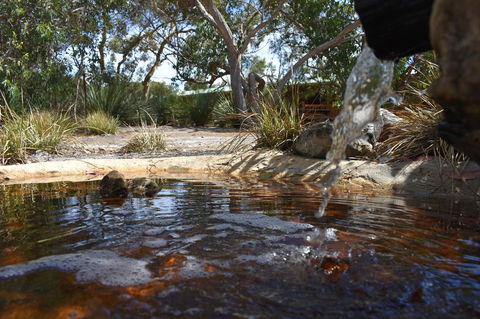 Kangaroo Island Wilderness Retreat - Accommodation Georgetown 25