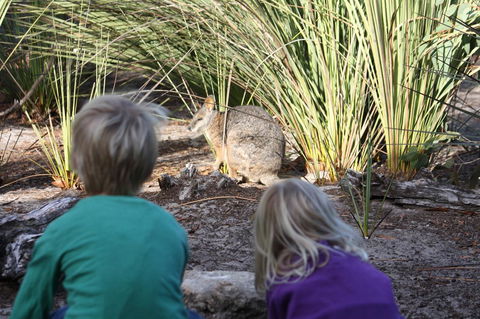 Kangaroo Island Wilderness Retreat - Accommodation Georgetown 30