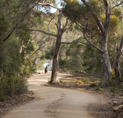 Kangaroo Island Wilderness Retreat - Accommodation Georgetown 22