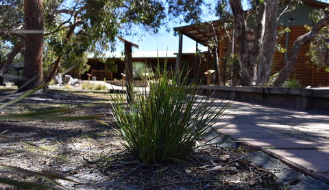 Kangaroo Island Wilderness Retreat - Accommodation Georgetown 21