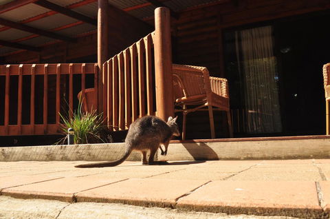 Kangaroo Island Wilderness Retreat - Accommodation Georgetown 9