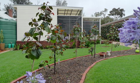 Grassmere House Magill - Accommodation Georgetown 19