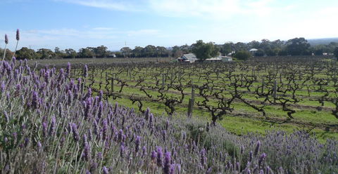 Grassmere House Magill - Accommodation Georgetown 25