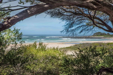 BIG4 Tasman Holiday Parks - Racecourse Beach - Accommodation Georgetown 7