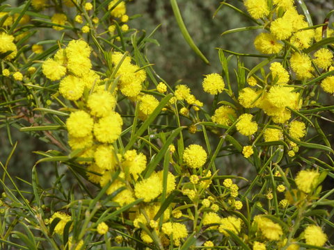 Molly's Chase - Accommodation Georgetown 14