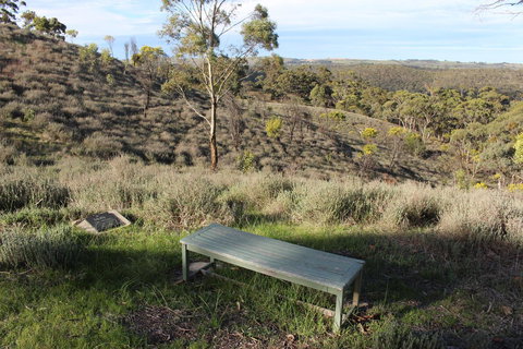 Molly's Chase - Accommodation Georgetown 31