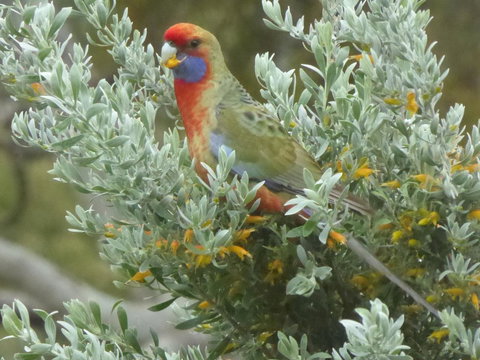 Molly's Chase - Accommodation Georgetown 24