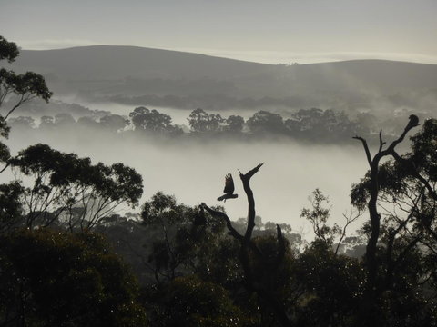 Molly's Chase - Accommodation Georgetown 28