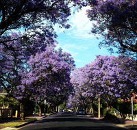 Monaco Court Apartment Adelaide - Accommodation Georgetown