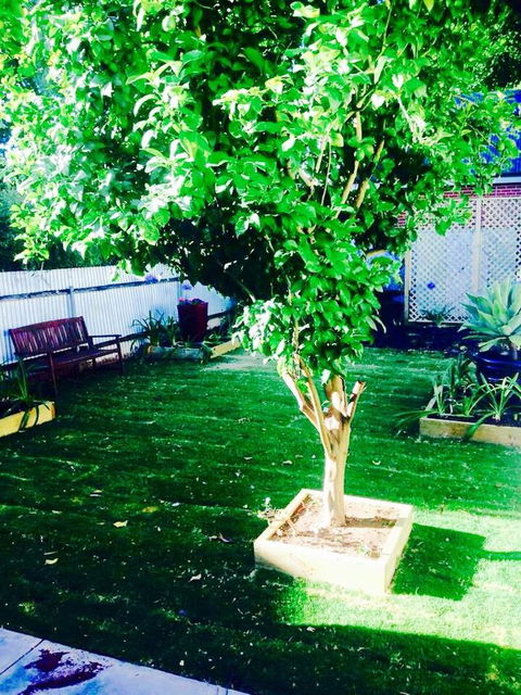 A Rose By The Park - Accommodation Georgetown 11