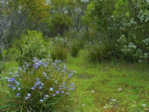 Kestrel Downs - Accommodation Georgetown 32