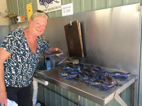 Ceduna Foreshore Caravan Park - Accommodation Georgetown 28
