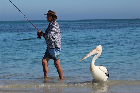 Ceduna Foreshore Caravan Park - Accommodation Georgetown 21