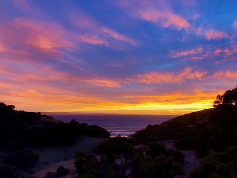 Sea Dragon Kangaroo Island - Accommodation Georgetown 14