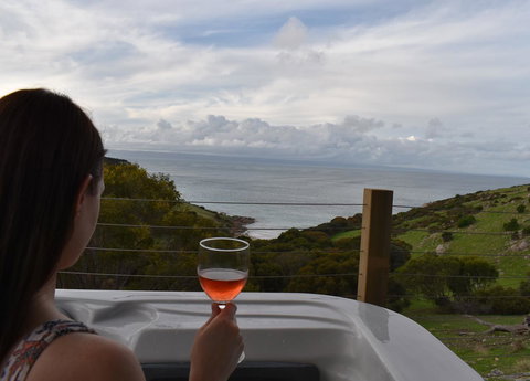 Sea Dragon Kangaroo Island - Accommodation Georgetown 8