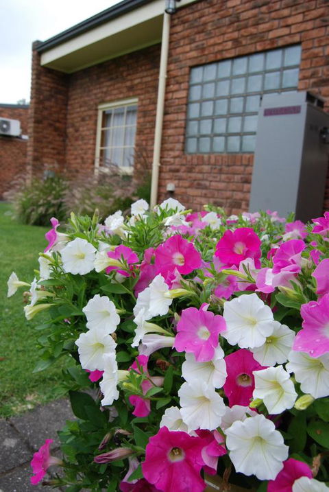 Arkana Motor Inn & Terrace Apartments - Accommodation Georgetown 40