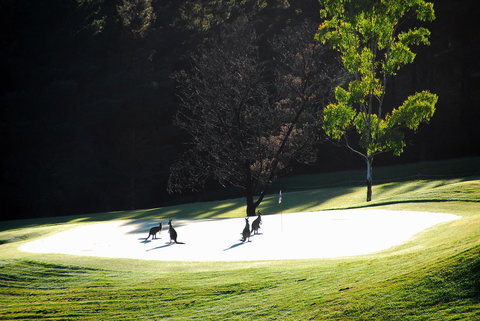 SkyView Villa - Accommodation Georgetown 3