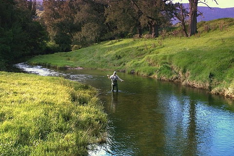 SkyView Villa - Accommodation Georgetown 17