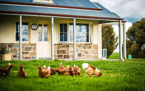 Barossa Vineyard Cottages - Accommodation Georgetown 40