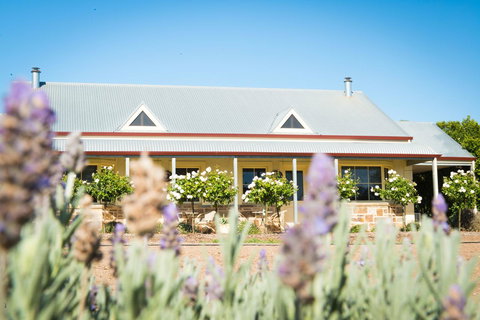 Barossa Vineyard Cottages - Accommodation Georgetown 3