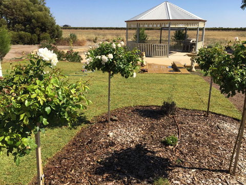 Barossa Vineyard Cottages - Accommodation Georgetown 43