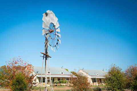 Barossa Vineyard Cottages - Accommodation Georgetown 6