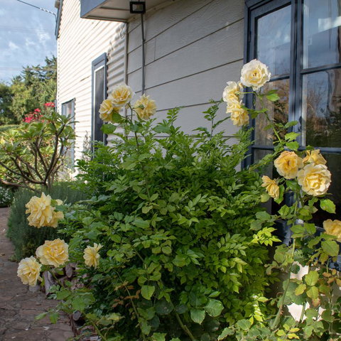 Haven Cottage Kangaroo Island - Accommodation Georgetown 1