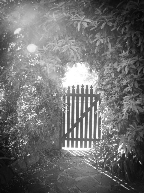 Haven Cottage Kangaroo Island - Accommodation Georgetown 33