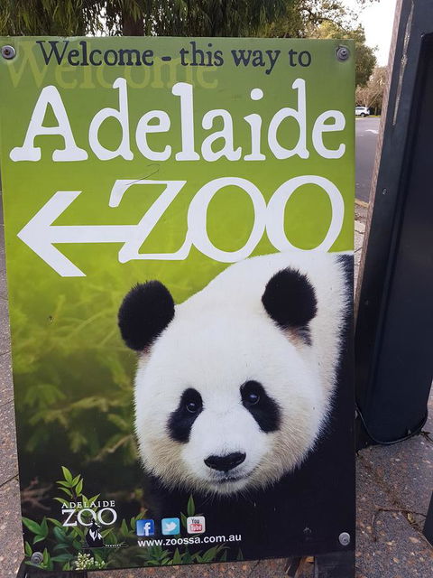 Adelaide Style Accommodation-Close To City-North Adelaide-3 Bdrm- FREE Parking - Accommodation Georgetown 35