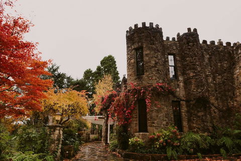 The Manor Basket Range - Accommodation Georgetown 15