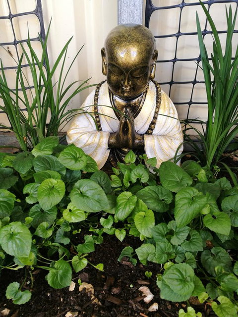 Hilda Anna's - Accommodation Georgetown 44