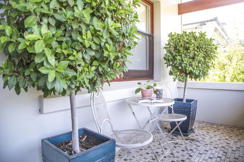 Mataro Cottage - Accommodation Georgetown 2
