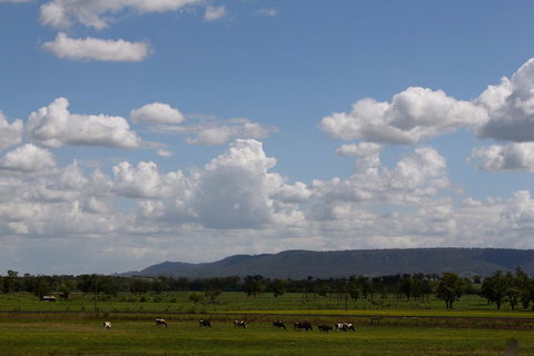 Isis Motel Scone - Accommodation Georgetown 5