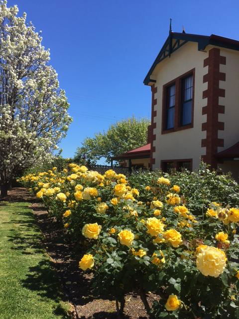 Wine And Roses Bed And Breakfast - Accommodation Georgetown 5