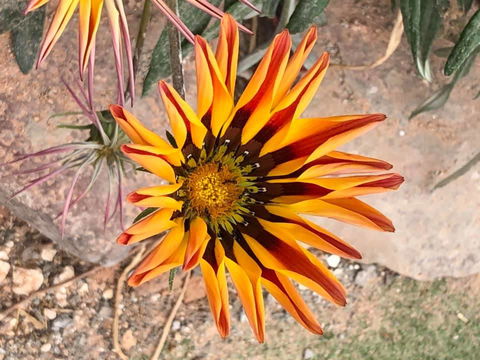 Aussie Opal Diggers Outback Retreat-Undergound - Accommodation Georgetown 26