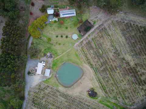 STUDIO ECHUNGA Adelaide Hills - Accommodation Georgetown 22