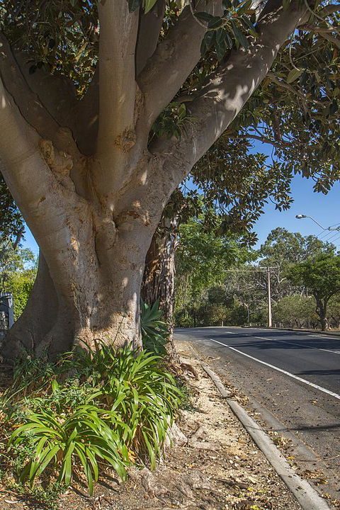 Stoneleigh Cottage Bed And Breakfast - Accommodation Georgetown 25