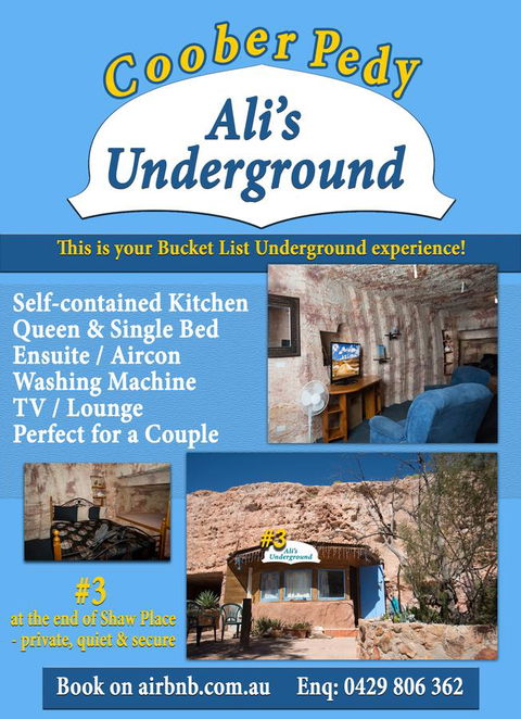Ali\'s Underground Studio - Accommodation Georgetown 12