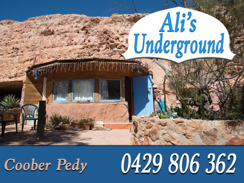 Ali\'s Underground Studio - Accommodation Georgetown 2