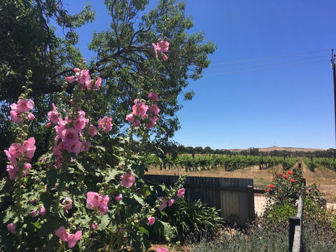 Amy\'s House Bed & Breakfast - Accommodation Georgetown 29